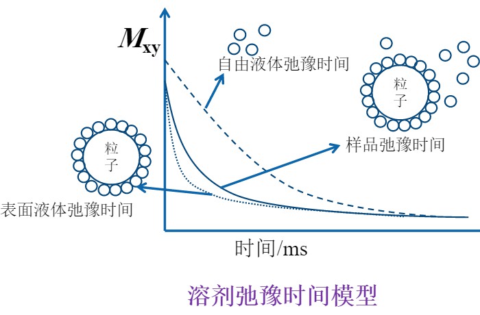 顆粒分散性怎么描述？低場核磁技術(shù)